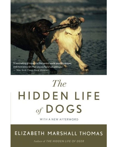 The Hidden Life of Dogs