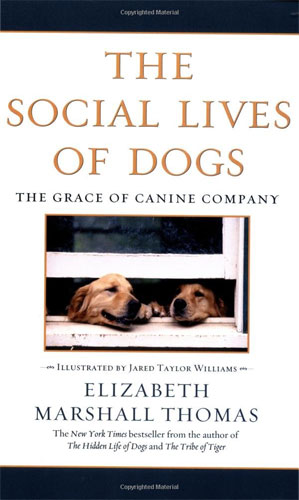 The Social Lives of Dogs