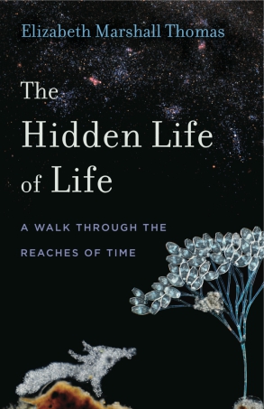 Bookstock Literary Festival, The Hidden Life of Life